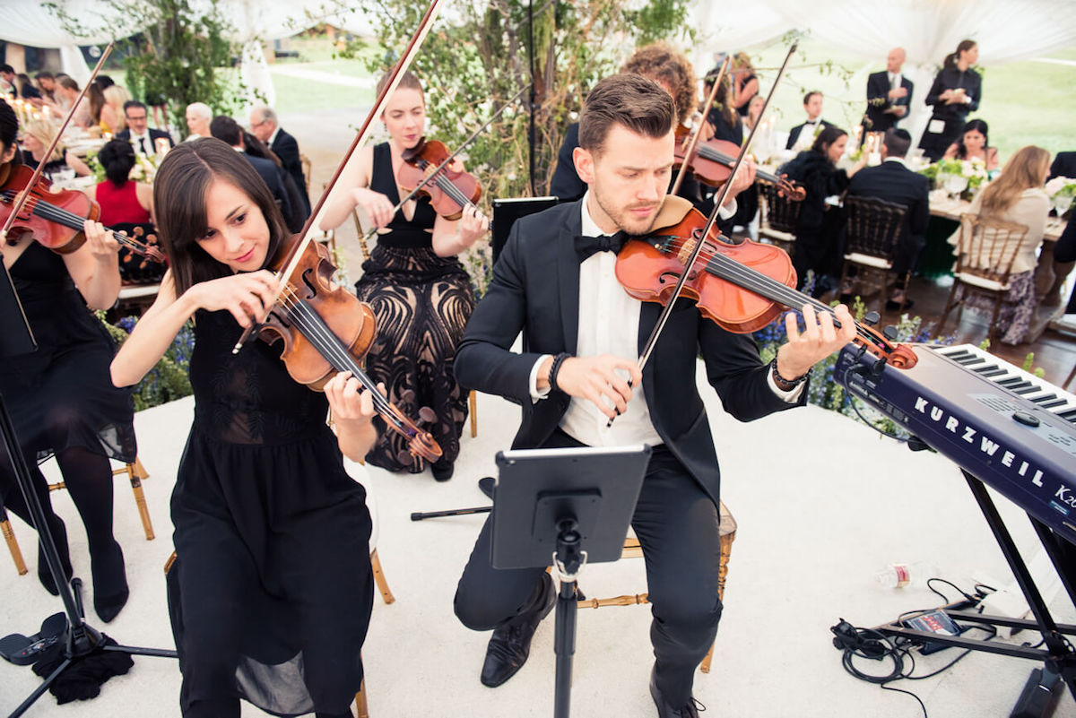 wedding violin orchestra